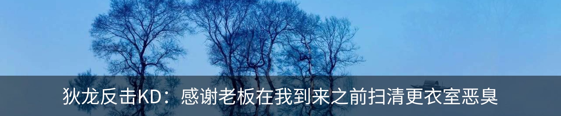 最新动态