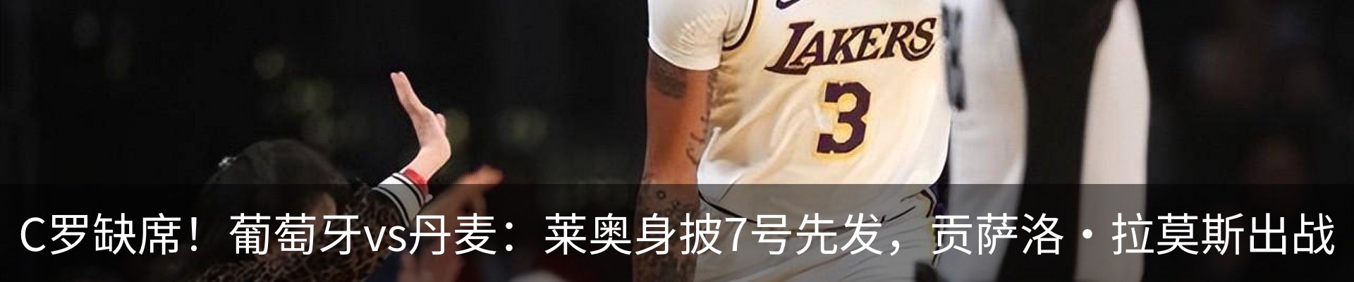 最新动态